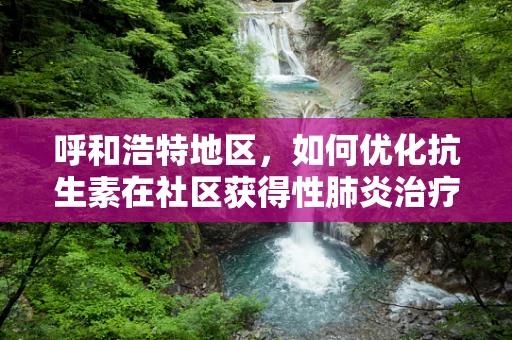 呼和浩特地区，如何优化抗生素在社区获得性肺炎治疗中的使用策略？