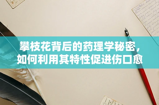 攀枝花背后的药理学秘密，如何利用其特性促进伤口愈合？