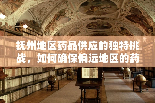 抚州地区药品供应的独特挑战，如何确保偏远地区的药物可及性？