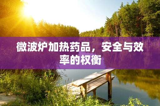 微波炉加热药品，安全与效率的权衡