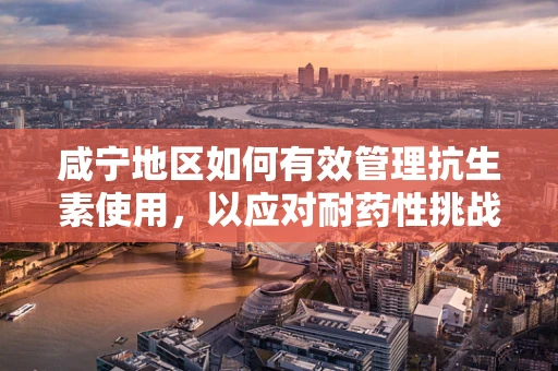 咸宁地区如何有效管理抗生素使用，以应对耐药性挑战？