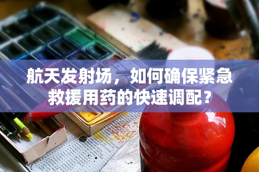 航天发射场，如何确保紧急救援用药的快速调配？