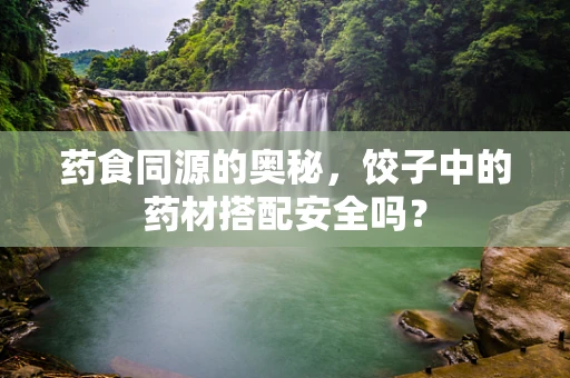 药食同源的奥秘，饺子中的药材搭配安全吗？