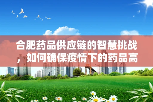 合肥药品供应链的智慧挑战，如何确保疫情下的药品高效配送？