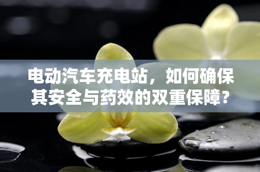 电动汽车充电站，如何确保其安全与药效的双重保障？