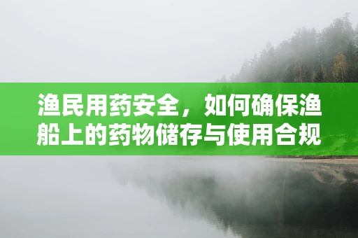 渔民用药安全，如何确保渔船上的药物储存与使用合规？