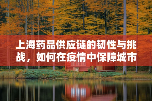 上海药品供应链的韧性与挑战，如何在疫情中保障城市药需？