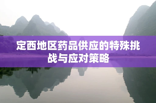 定西地区药品供应的特殊挑战与应对策略