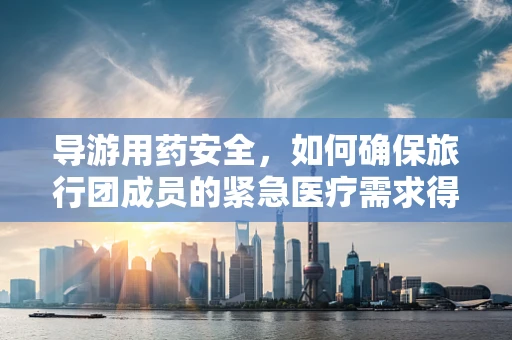 导游用药安全，如何确保旅行团成员的紧急医疗需求得到妥善处理？