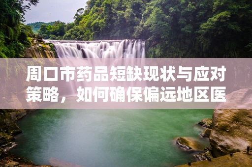 周口市药品短缺现状与应对策略，如何确保偏远地区医疗资源均衡？