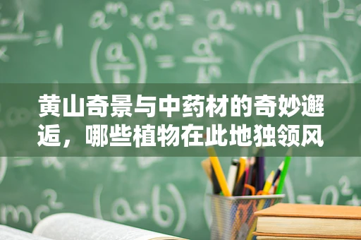 黄山奇景与中药材的奇妙邂逅，哪些植物在此地独领风骚？