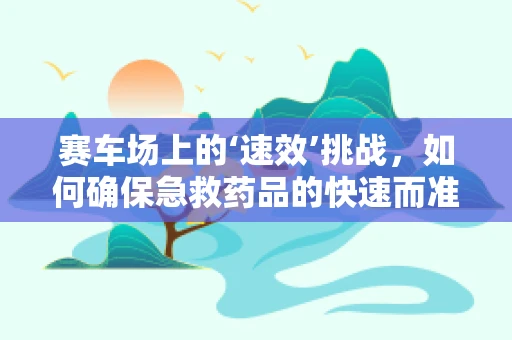 赛车场上的‘速效’挑战，如何确保急救药品的快速而准确供应？