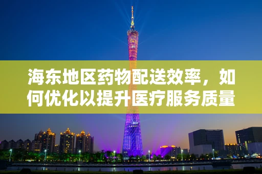 海东地区药物配送效率，如何优化以提升医疗服务质量？