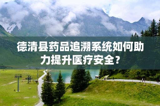 德清县药品追溯系统如何助力提升医疗安全？
