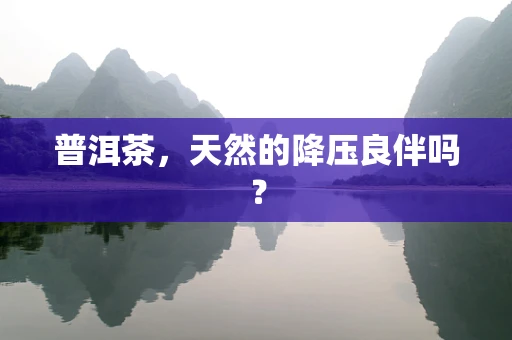 普洱茶，天然的降压良伴吗？