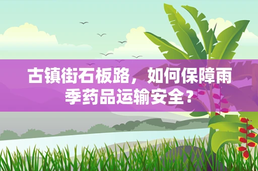 古镇街石板路，如何保障雨季药品运输安全？