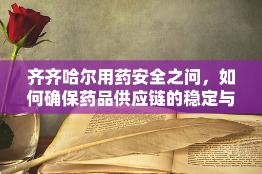 齐齐哈尔用药安全之问，如何确保药品供应链的稳定与高效？