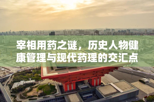 宰相用药之谜，历史人物健康管理与现代药理的交汇点