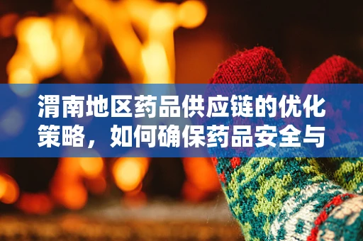 渭南地区药品供应链的优化策略，如何确保药品安全与高效配送？