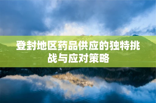 登封地区药品供应的独特挑战与应对策略