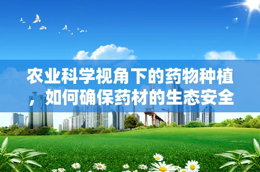农业科学视角下的药物种植，如何确保药材的生态安全与高效产出？