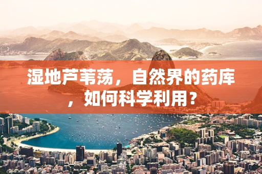 湿地芦苇荡，自然界的药库，如何科学利用？