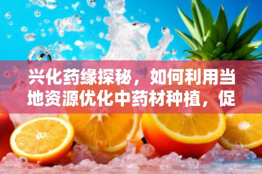 兴化药缘探秘，如何利用当地资源优化中药材种植，促进中医药发展？