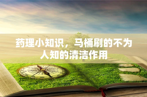 药理小知识，马桶刷的不为人知的清洁作用