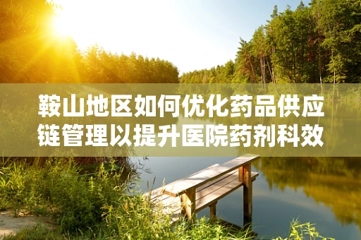 鞍山地区如何优化药品供应链管理以提升医院药剂科效率？