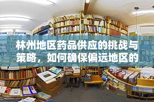 林州地区药品供应的挑战与策略，如何确保偏远地区的医疗资源均衡？