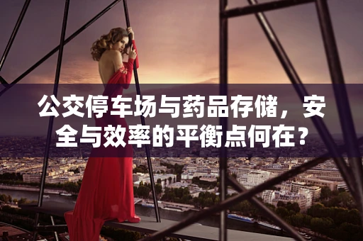 公交停车场与药品存储，安全与效率的平衡点何在？