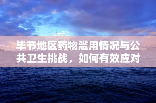 毕节地区药物滥用情况与公共卫生挑战，如何有效应对？