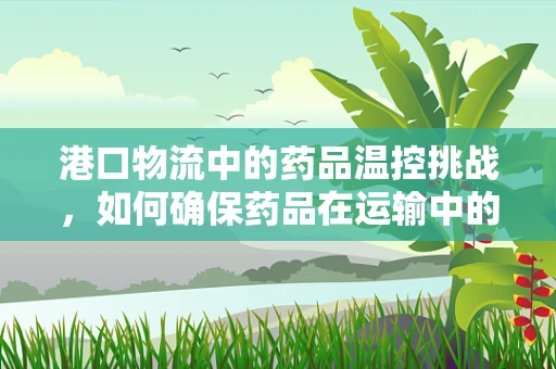 港口物流中的药品温控挑战，如何确保药品在运输中的安全与效力？
