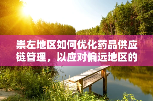 崇左地区如何优化药品供应链管理，以应对偏远地区的医疗挑战？