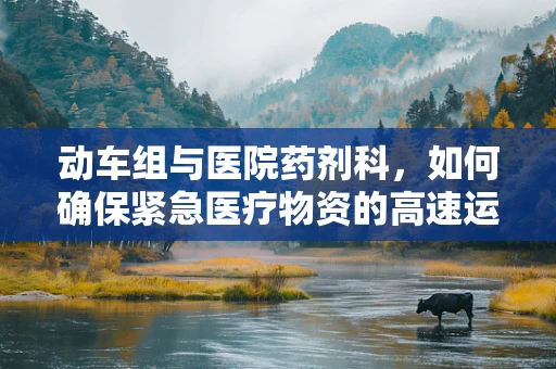 动车组与医院药剂科，如何确保紧急医疗物资的高速运输？