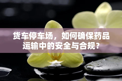 货车停车场，如何确保药品运输中的安全与合规？