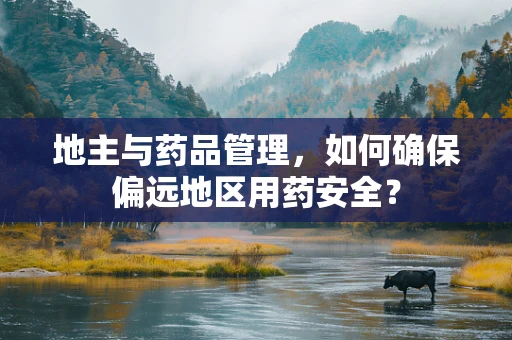 地主与药品管理，如何确保偏远地区用药安全？