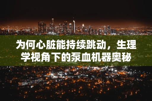 为何心脏能持续跳动，生理学视角下的泵血机器奥秘