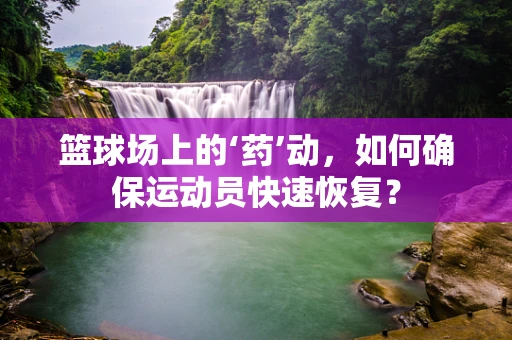 篮球场上的‘药’动，如何确保运动员快速恢复？