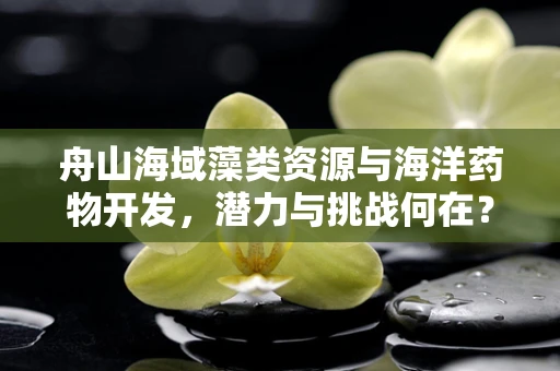 舟山海域藻类资源与海洋药物开发，潜力与挑战何在？