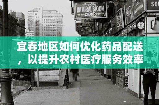 宜春地区如何优化药品配送，以提升农村医疗服务效率？