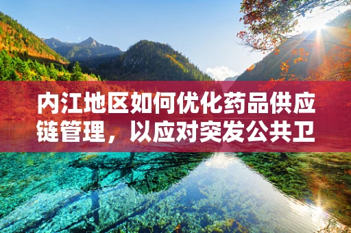 内江地区如何优化药品供应链管理，以应对突发公共卫生事件？