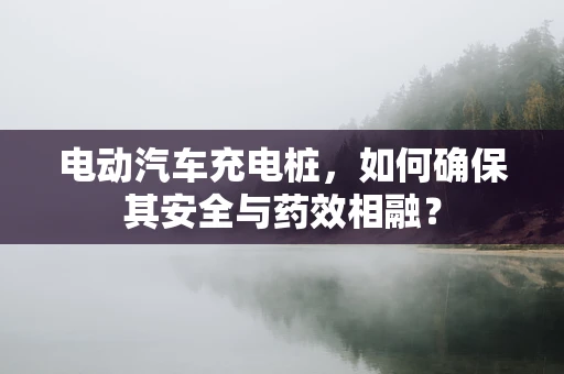 电动汽车充电桩，如何确保其安全与药效相融？