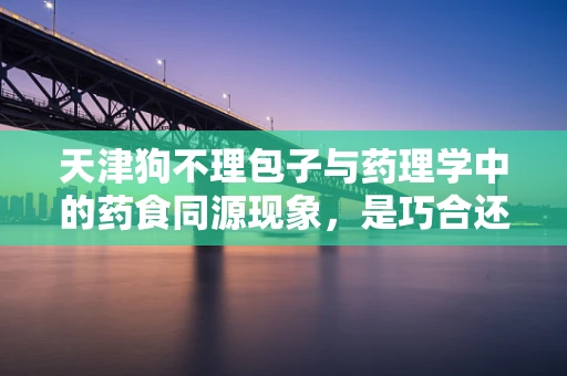 天津狗不理包子与药理学中的药食同源现象，是巧合还是科学？