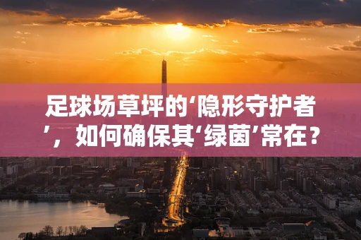 足球场草坪的‘隐形守护者’，如何确保其‘绿茵’常在？