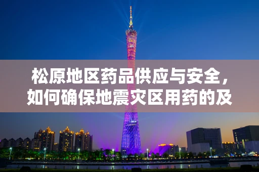 松原地区药品供应与安全，如何确保地震灾区用药的及时性与安全性？