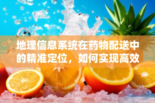 地理信息系统在药物配送中的精准定位，如何实现高效与安全？