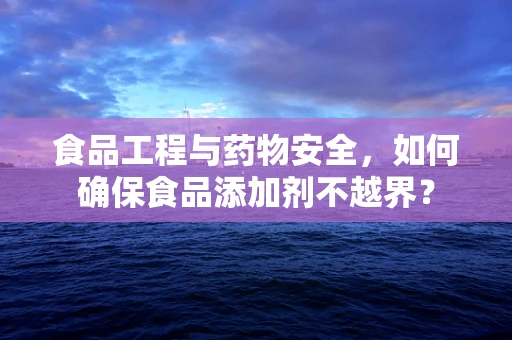 食品工程与药物安全，如何确保食品添加剂不越界？