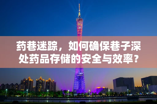 药巷迷踪，如何确保巷子深处药品存储的安全与效率？