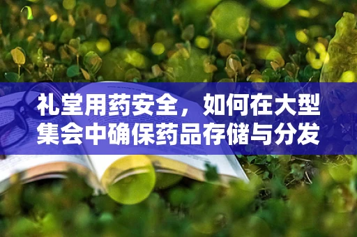 礼堂用药安全，如何在大型集会中确保药品存储与分发无虞？